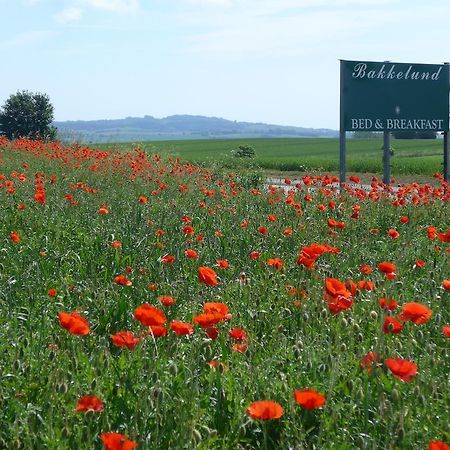 Bakkelund Bed & Breakfast Борре Экстерьер фото