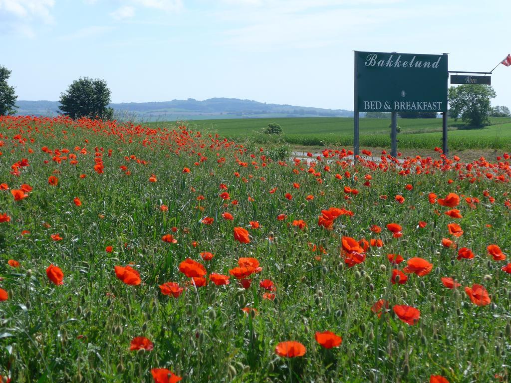 Bakkelund Bed & Breakfast Борре Экстерьер фото